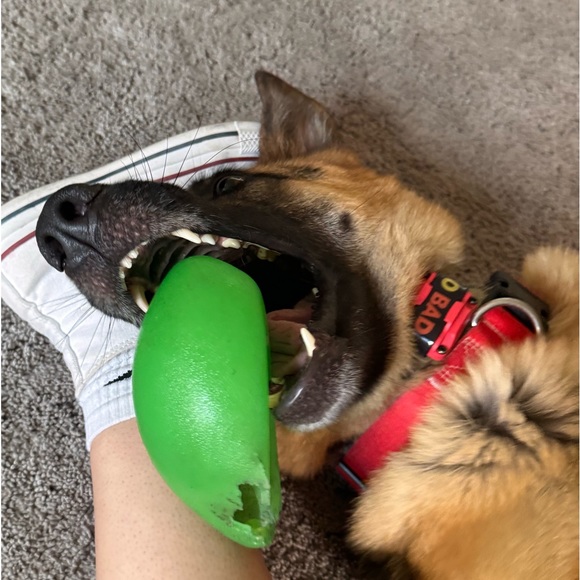 Meet your Posher, Livv - Picture 1 of 1